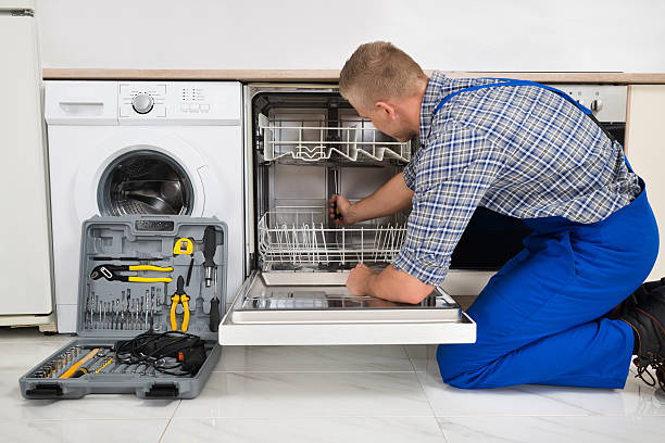 Roslindale Dishwasher Repair